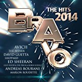 Bravo - The Hits 2014