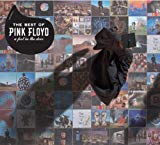 A Foot In The Door  (The Best Of Pink Floyd)